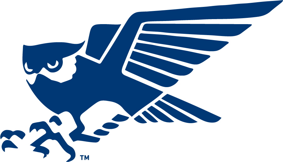 Rice Owls 1979-1986 Primary Logo diy iron on heat transfer